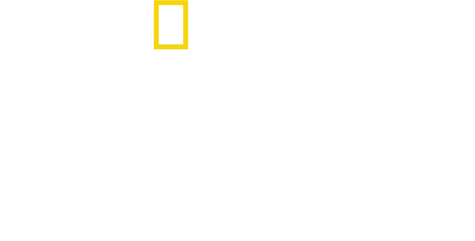 I segreti degli elefanti