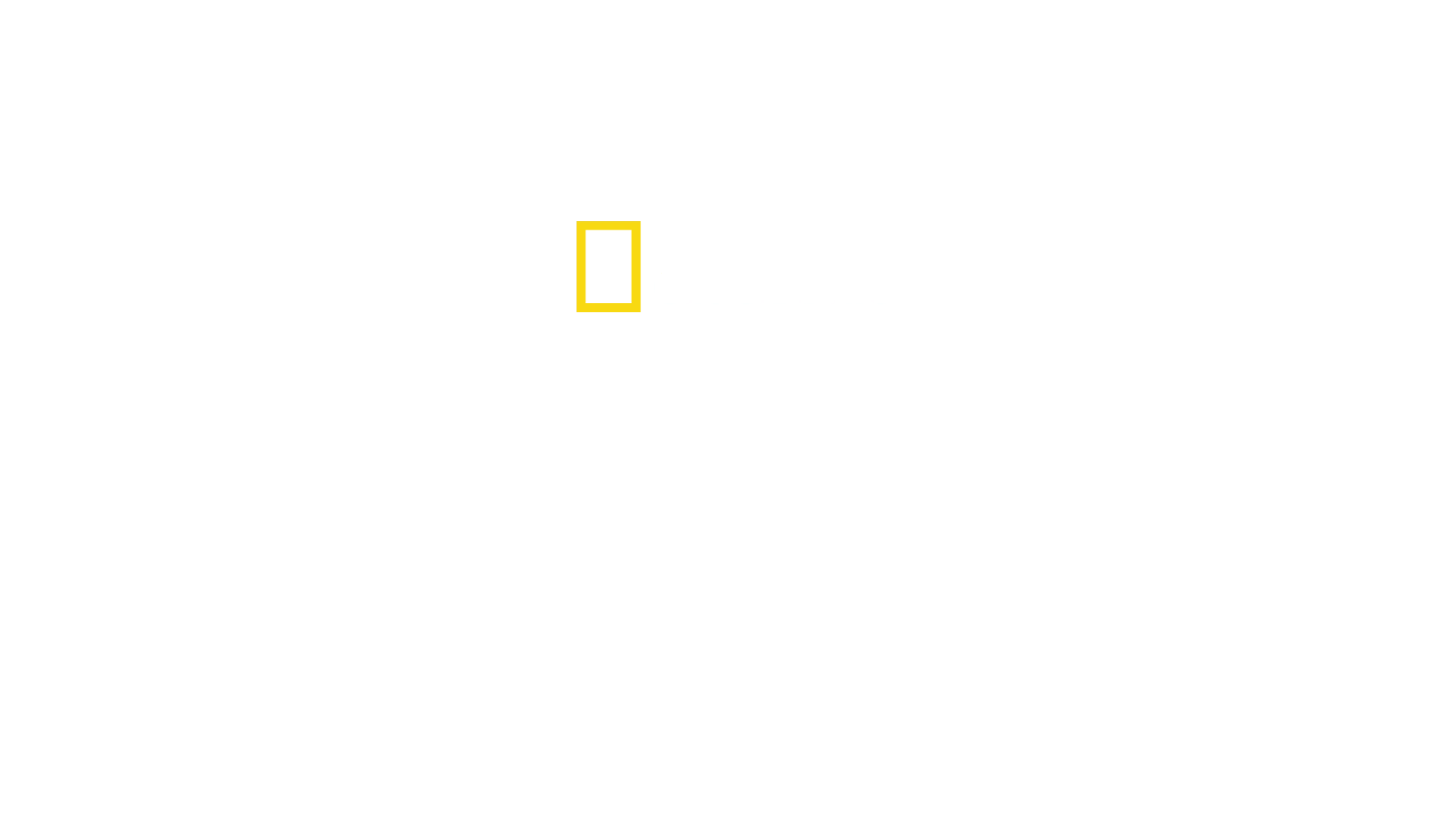 코끼리의 비밀