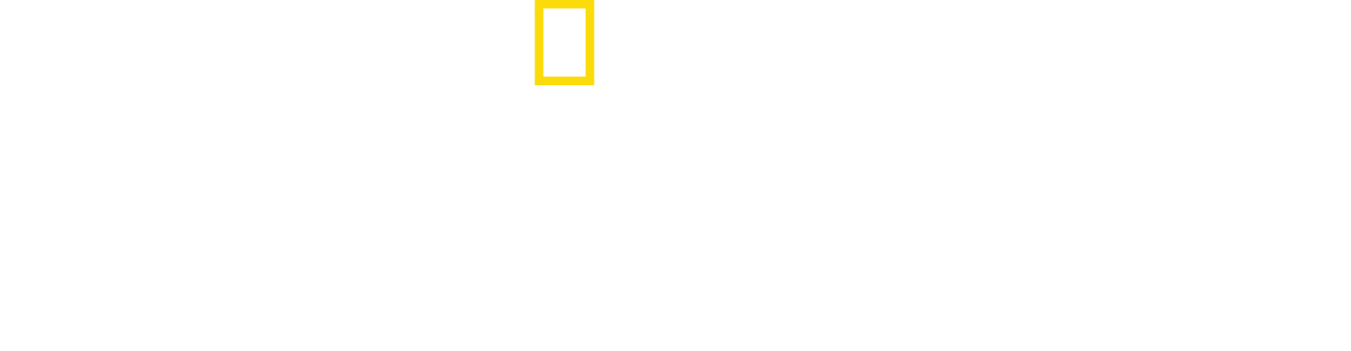 코끼리의 비밀
