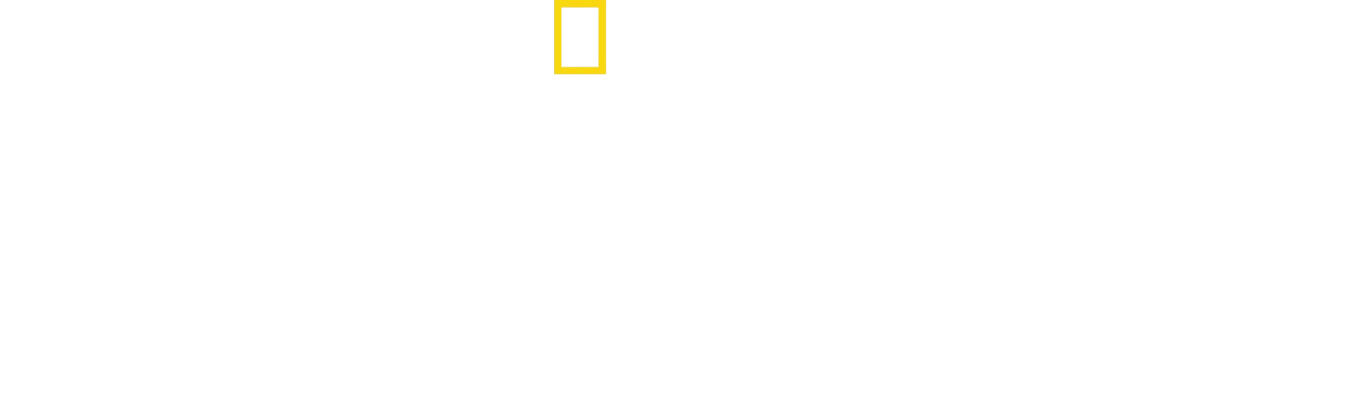 Sekretne życie słoni