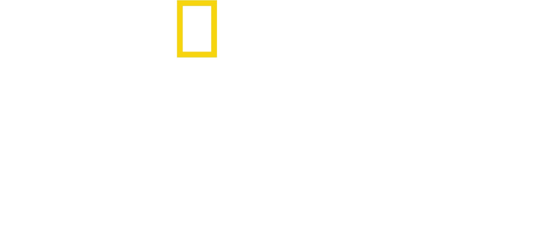 象群之謎