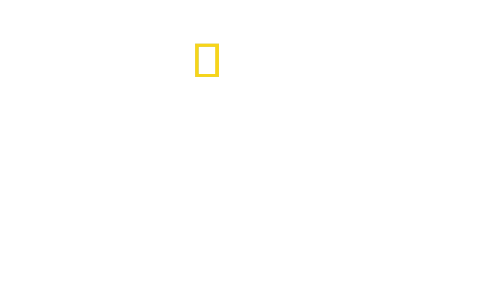 Fillerin Gizemli Dünyası