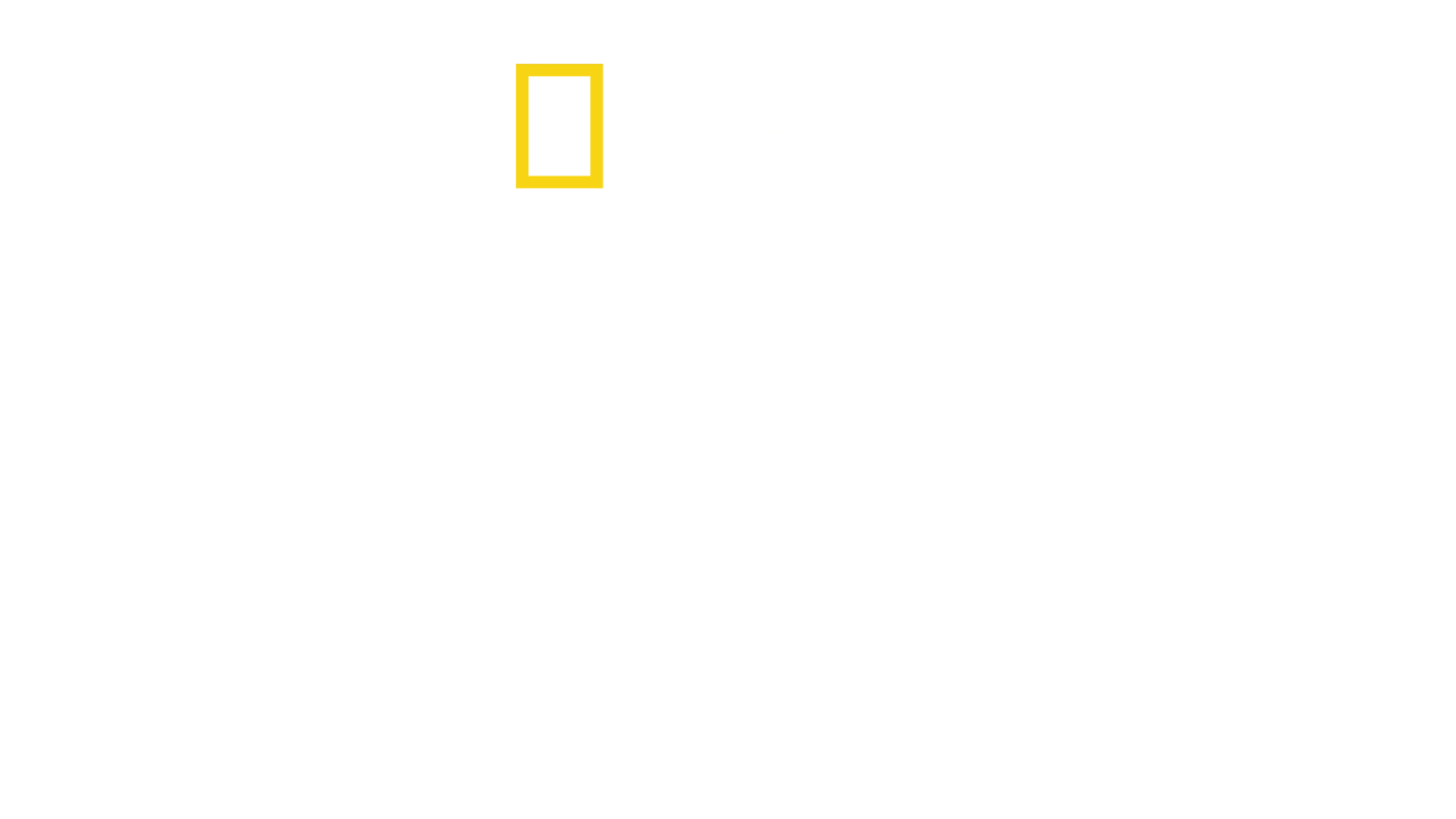 Divoká Argentina