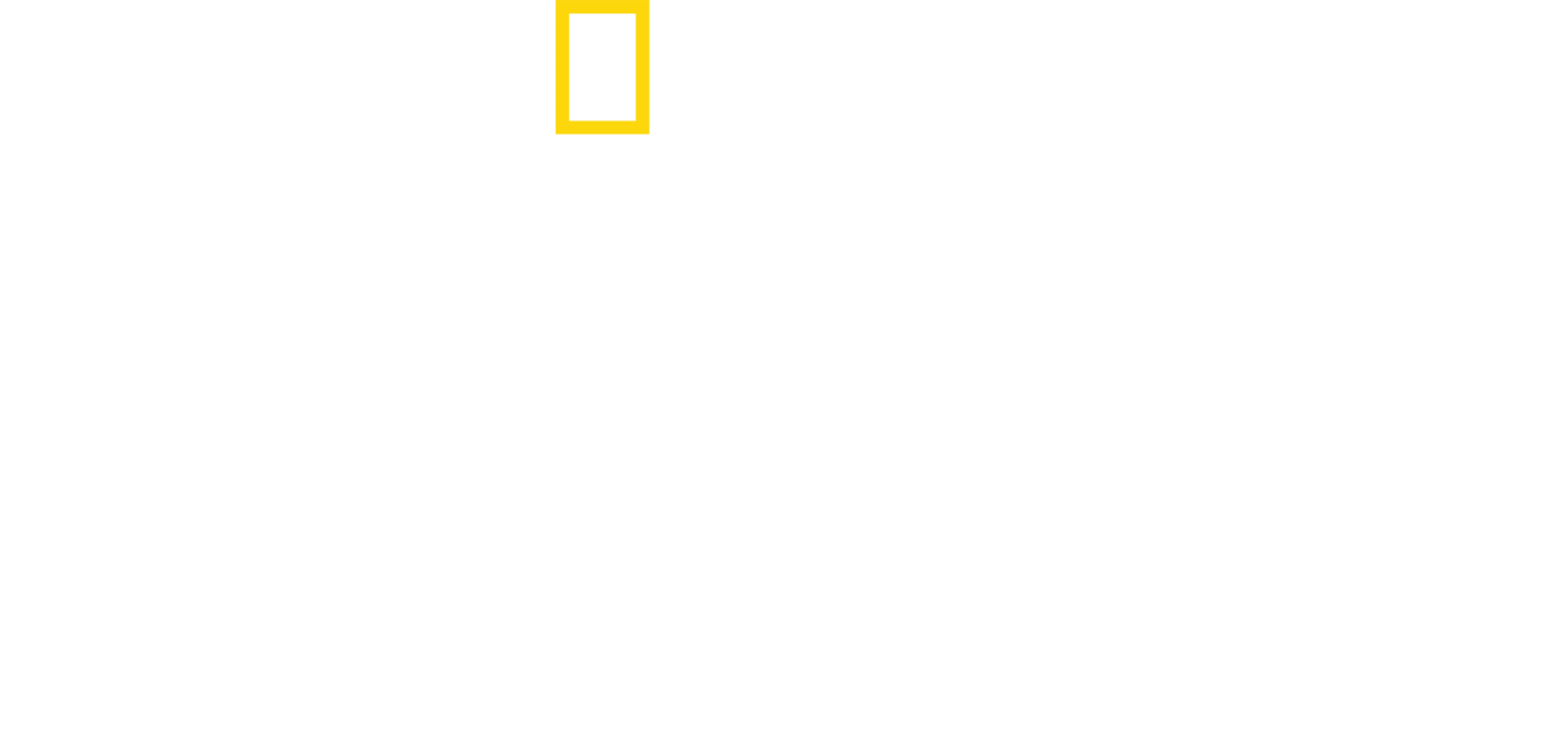 Divoká Argentina