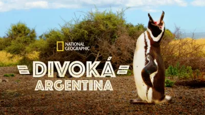Divoká Argentina