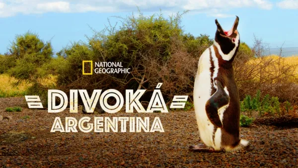 thumbnail - Divoká Argentina