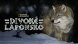 thumbnail - Divoké Laponsko