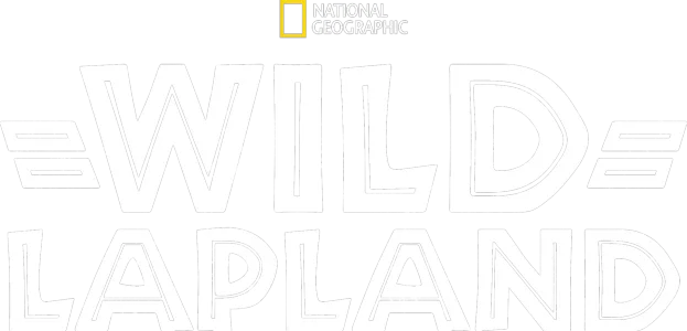 Wild Lapland