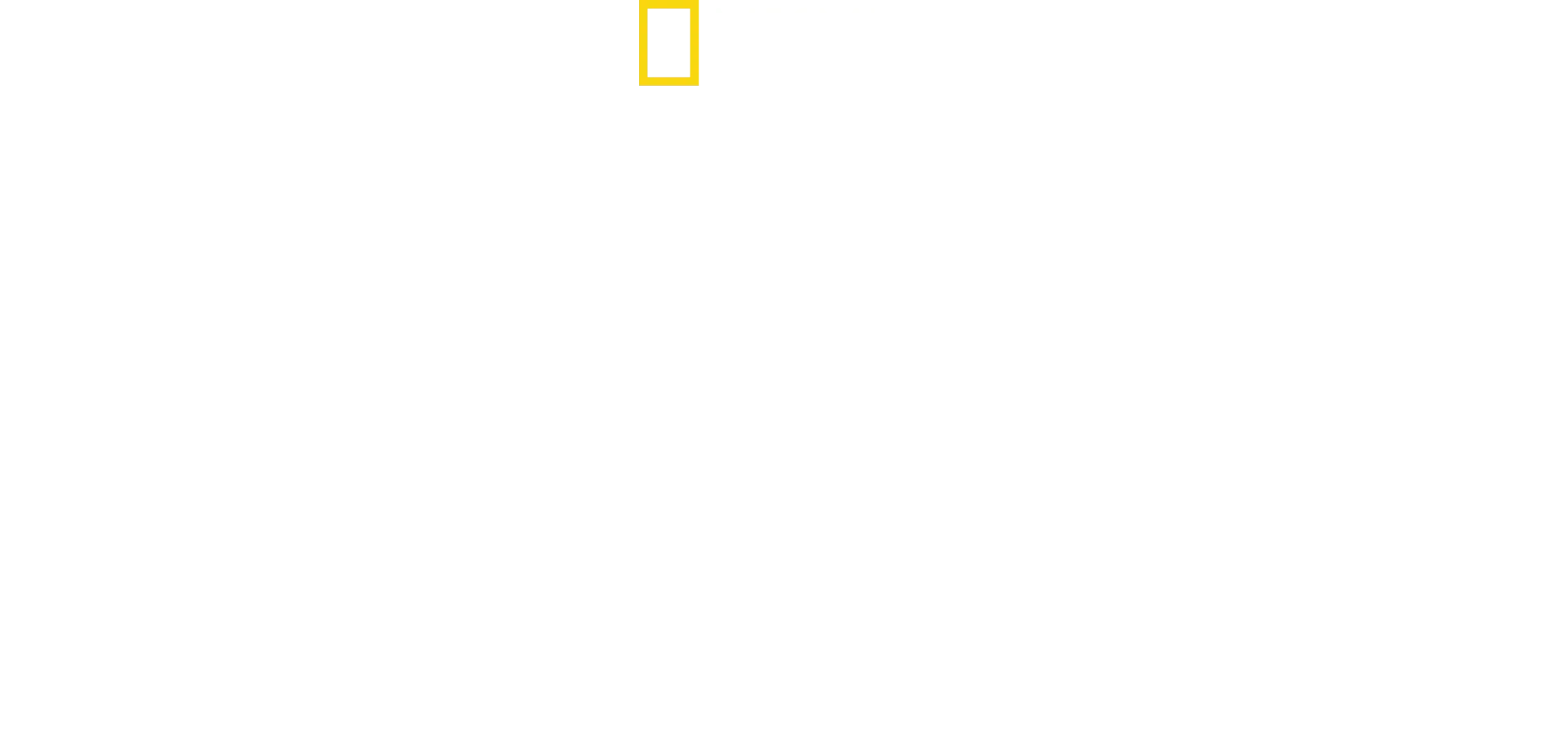 Wild Lapland