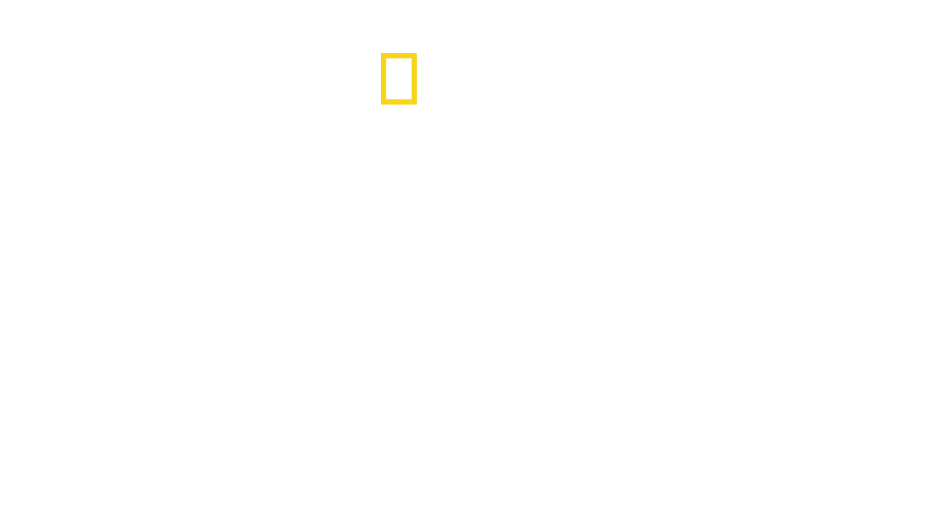 Wild Argentina (2017)