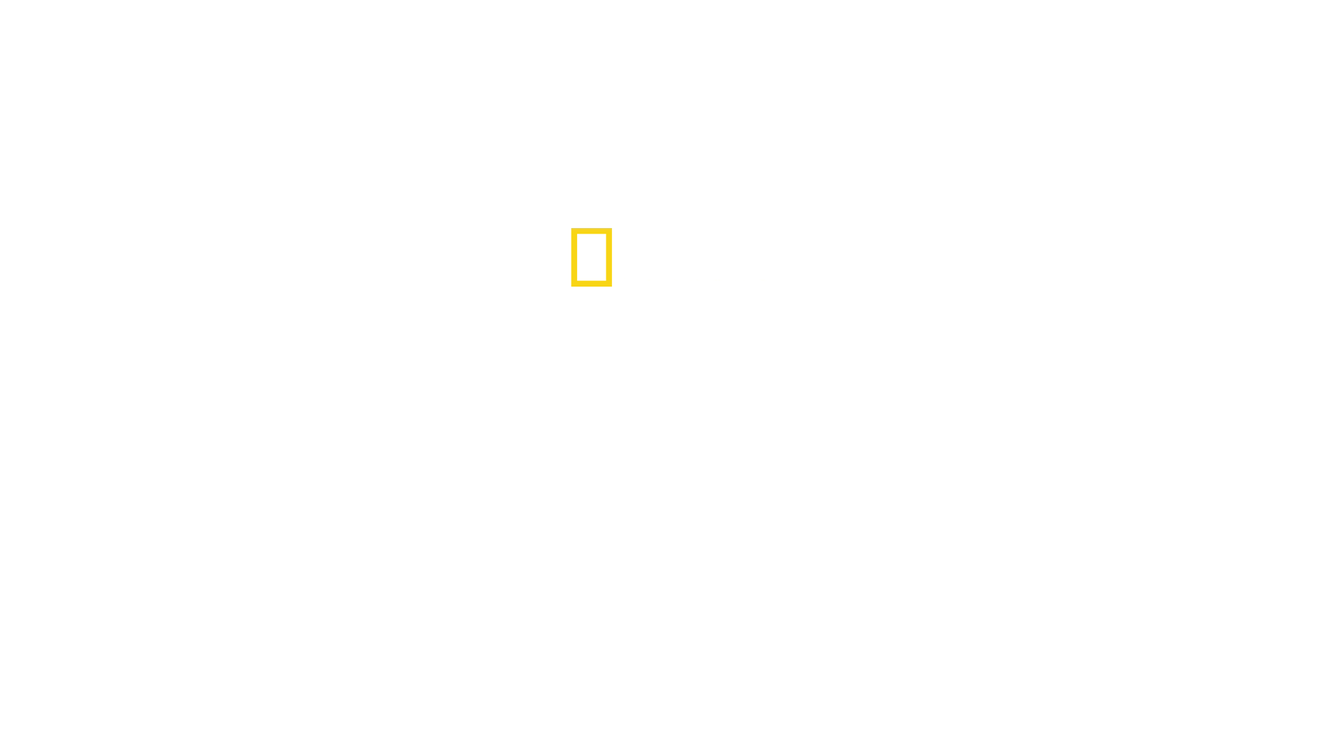 Destination Wild: Argentine