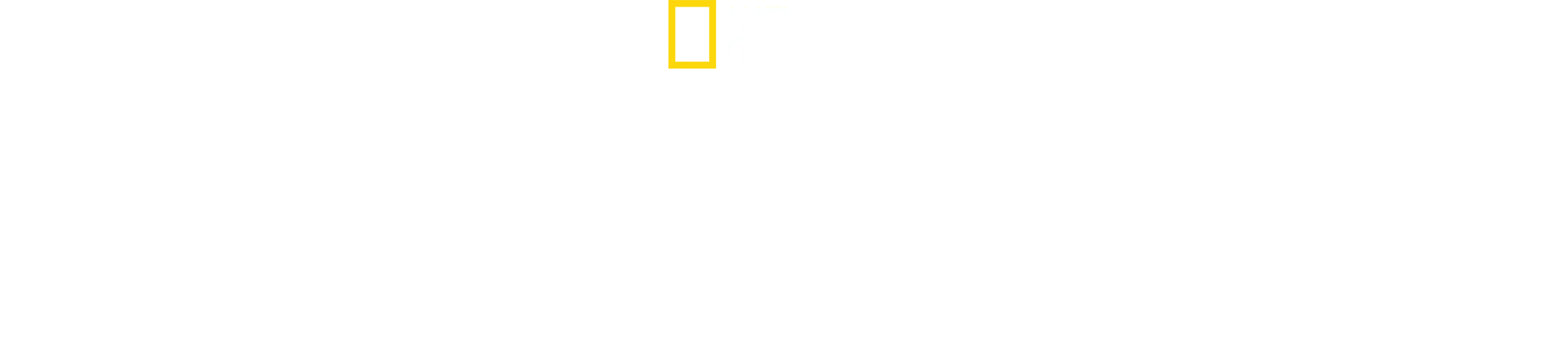 Destination Wild: Argentine
