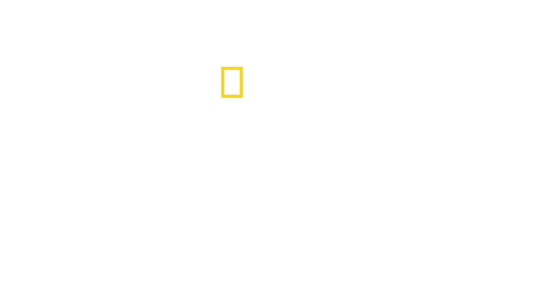 Lapponia selvaggia
