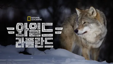 thumbnail - 와일드 라플란드