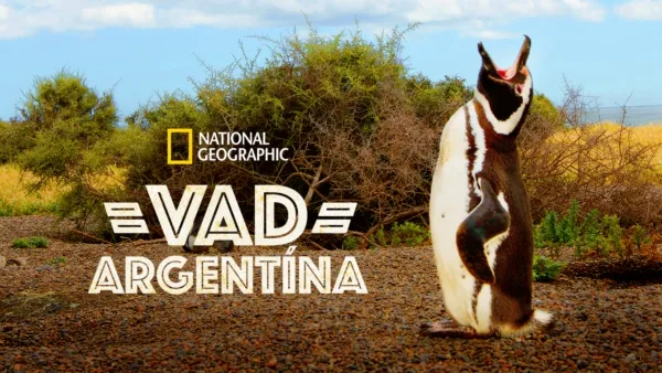 thumbnail - Vad Argentína