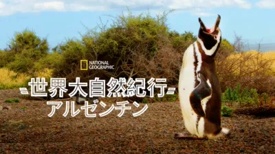 世界大自然紀行：アルゼンチン