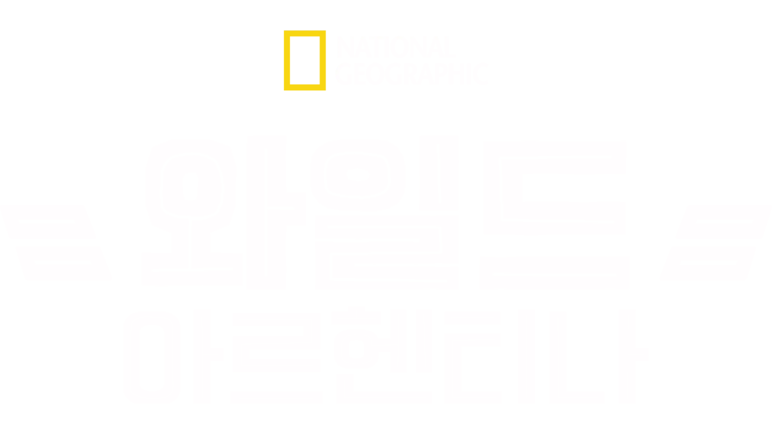 와일드 아르헨티나