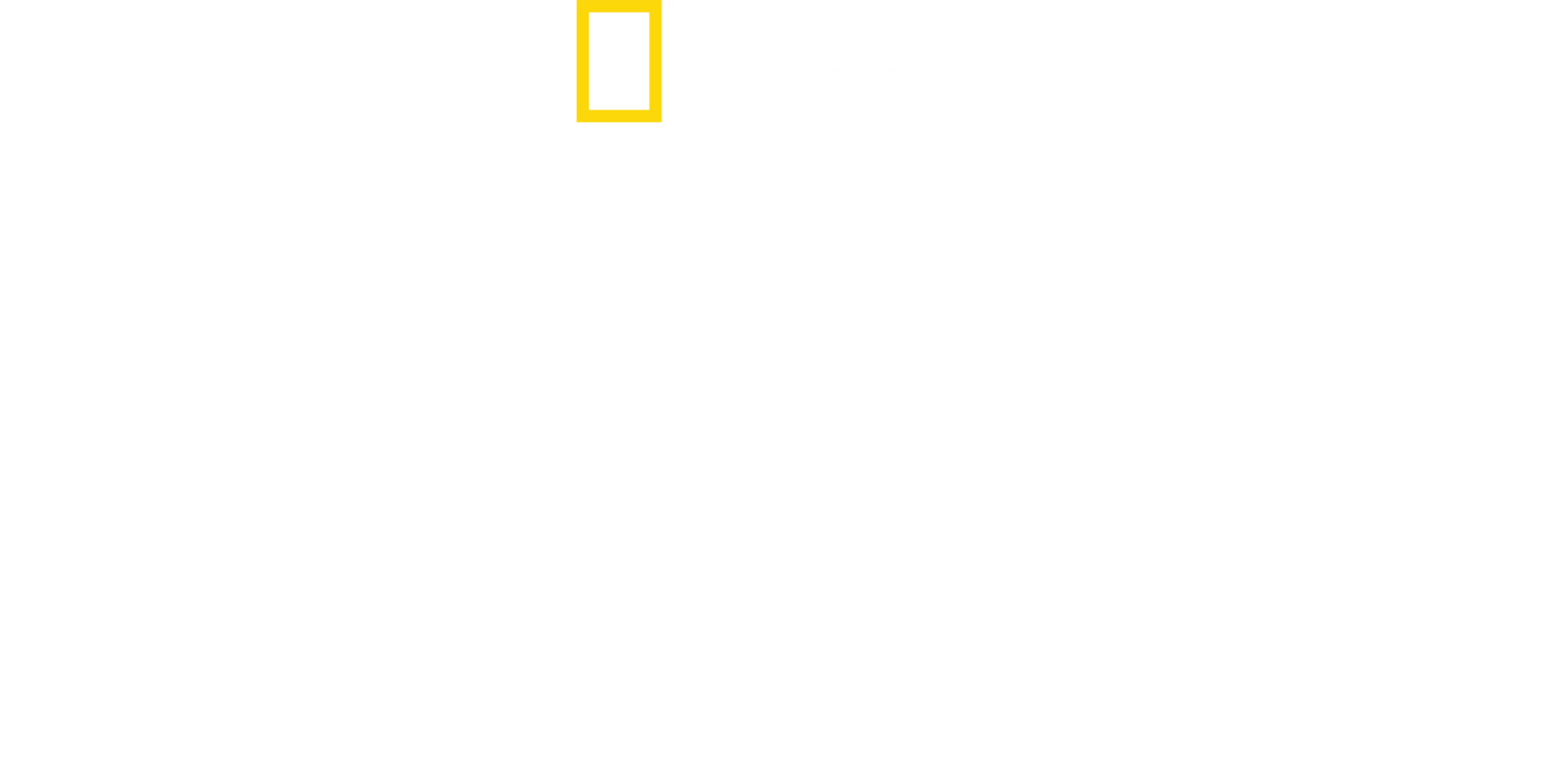 와일드 아르헨티나