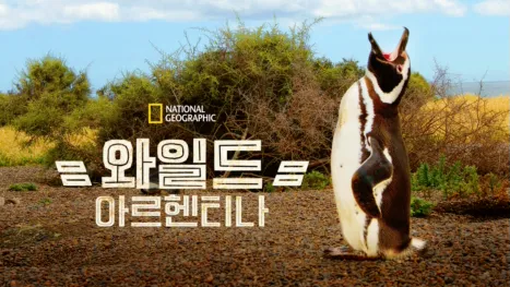 thumbnail - 와일드 아르헨티나