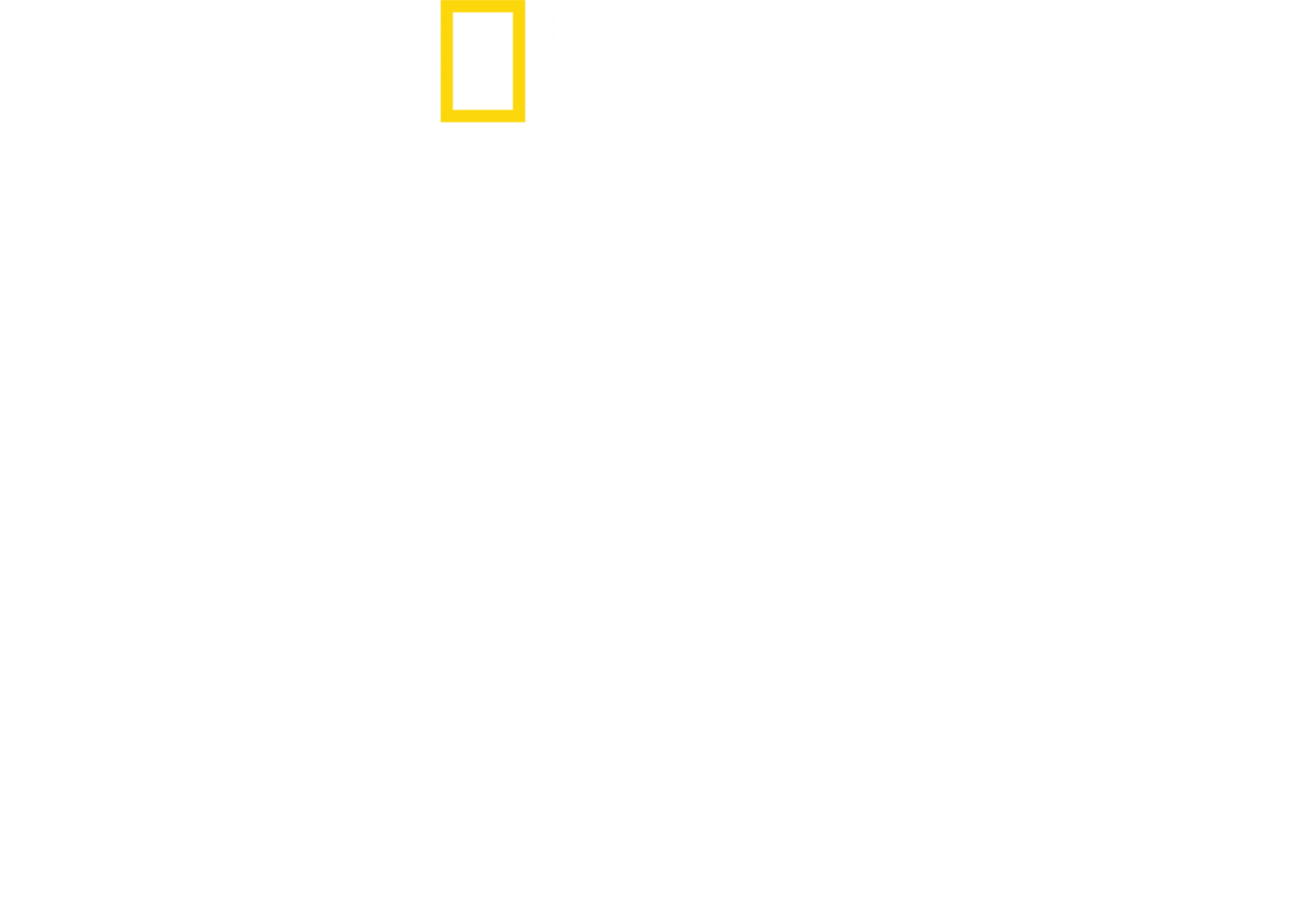 野性阿根廷