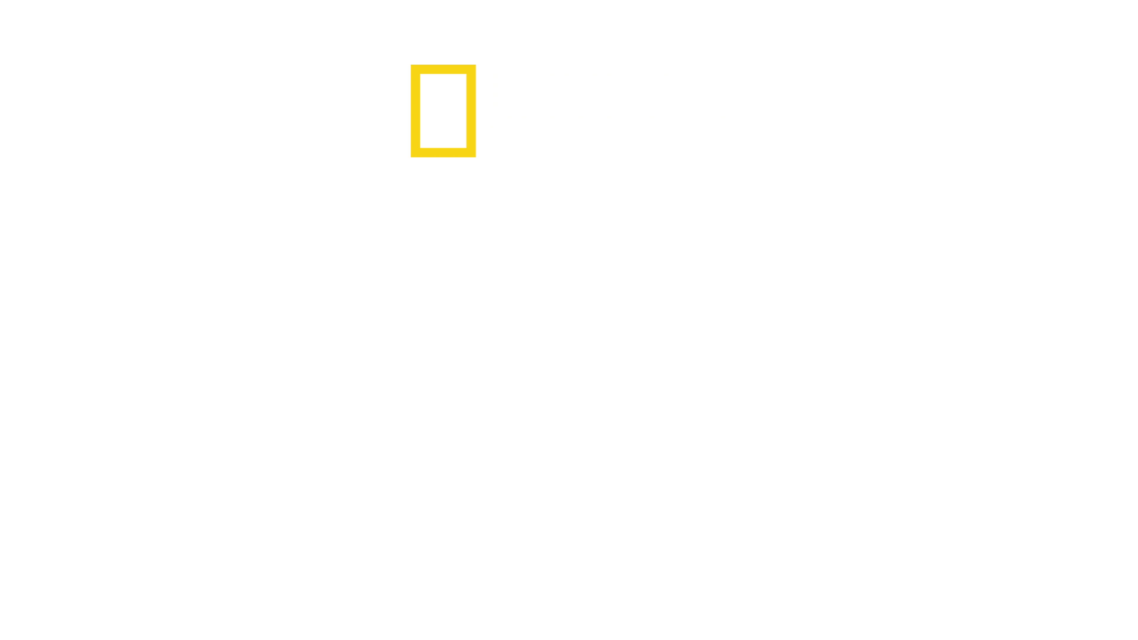 Dzika Argentyna