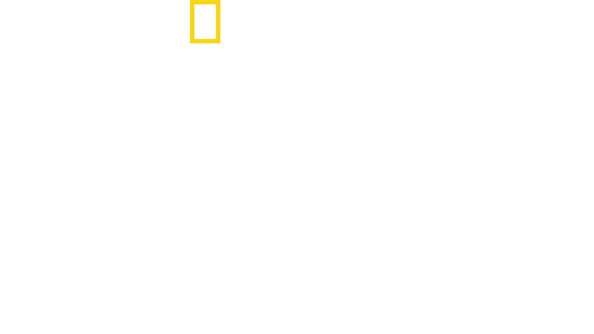 Ataque al Pentágono
