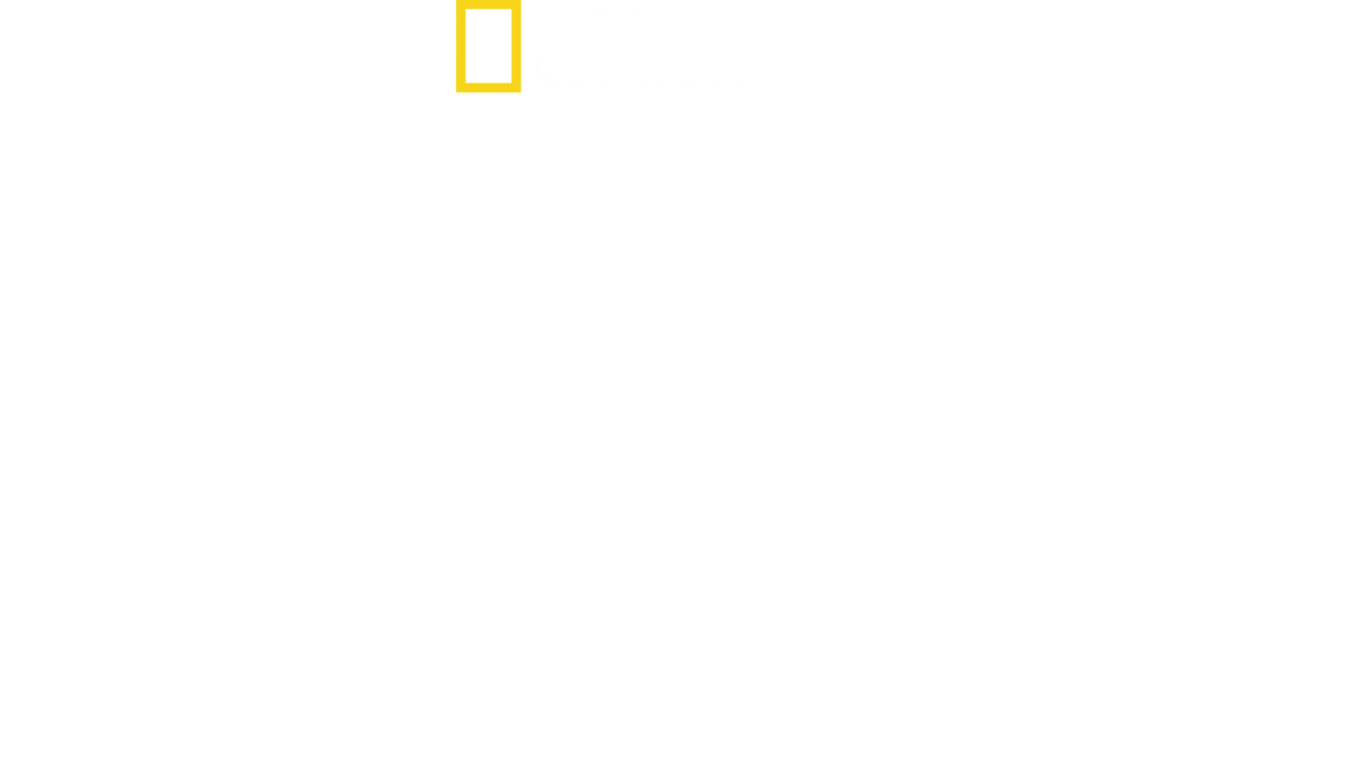 Ataque ao Pentágono