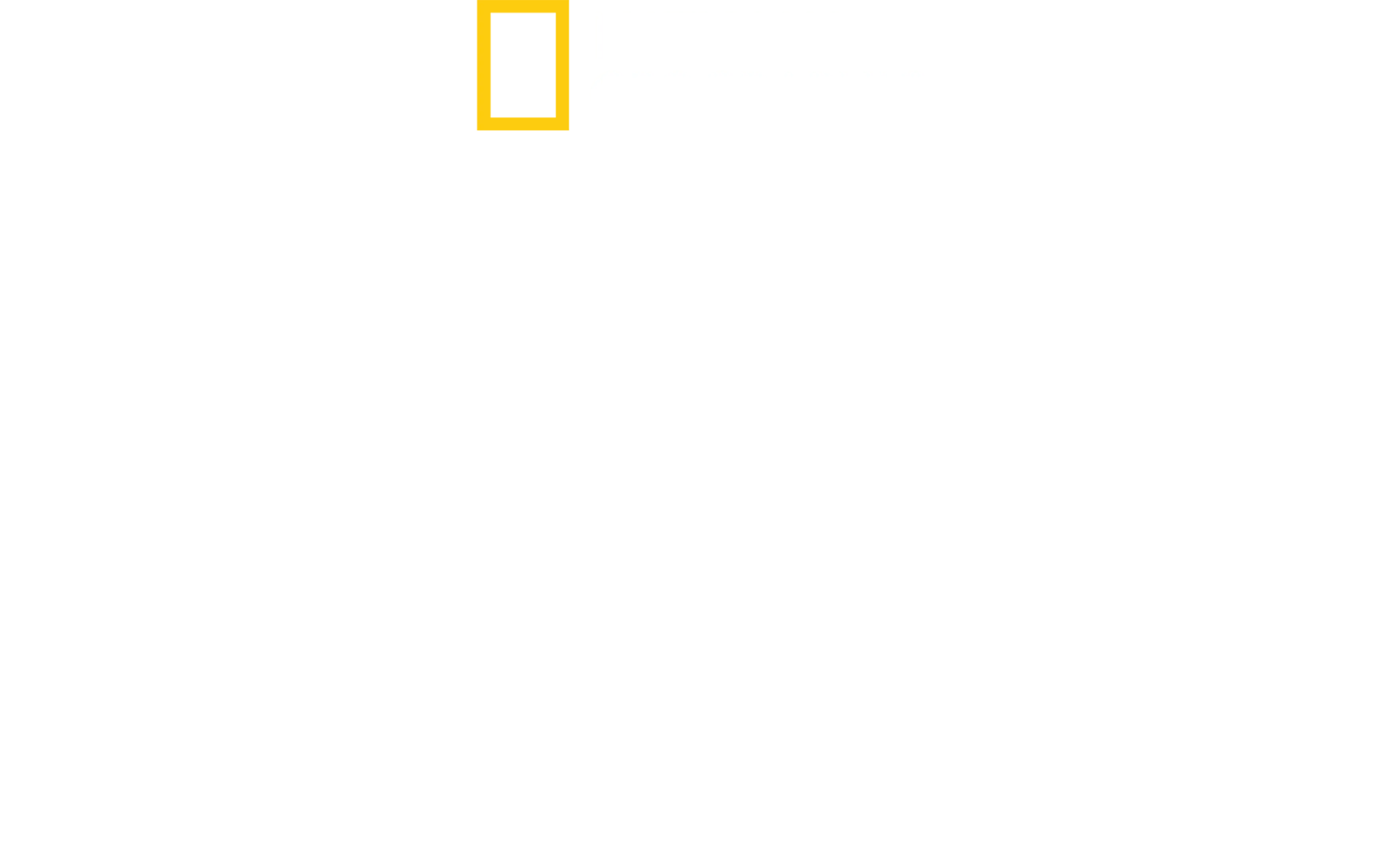 Život v divočině