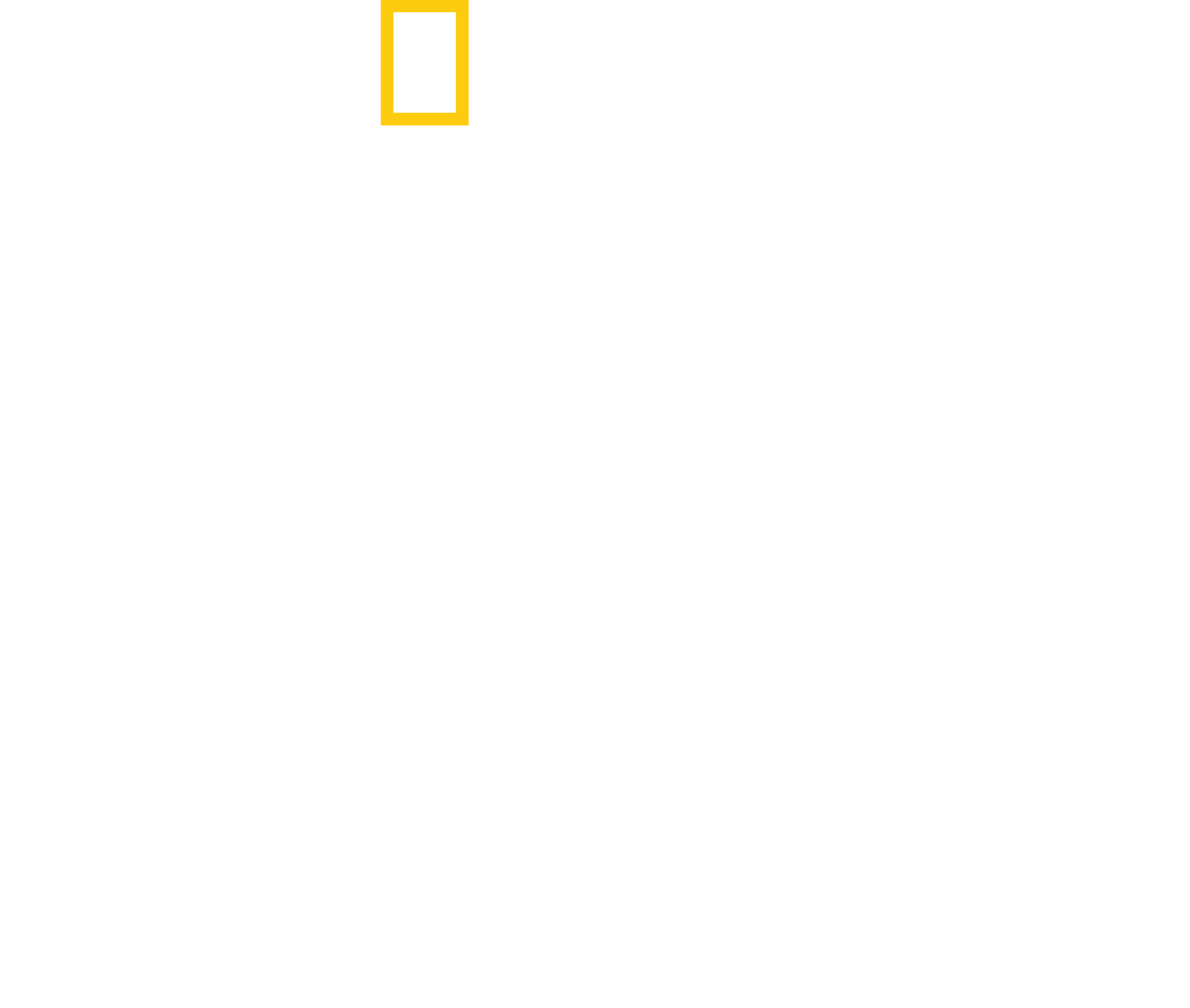 Wild Life