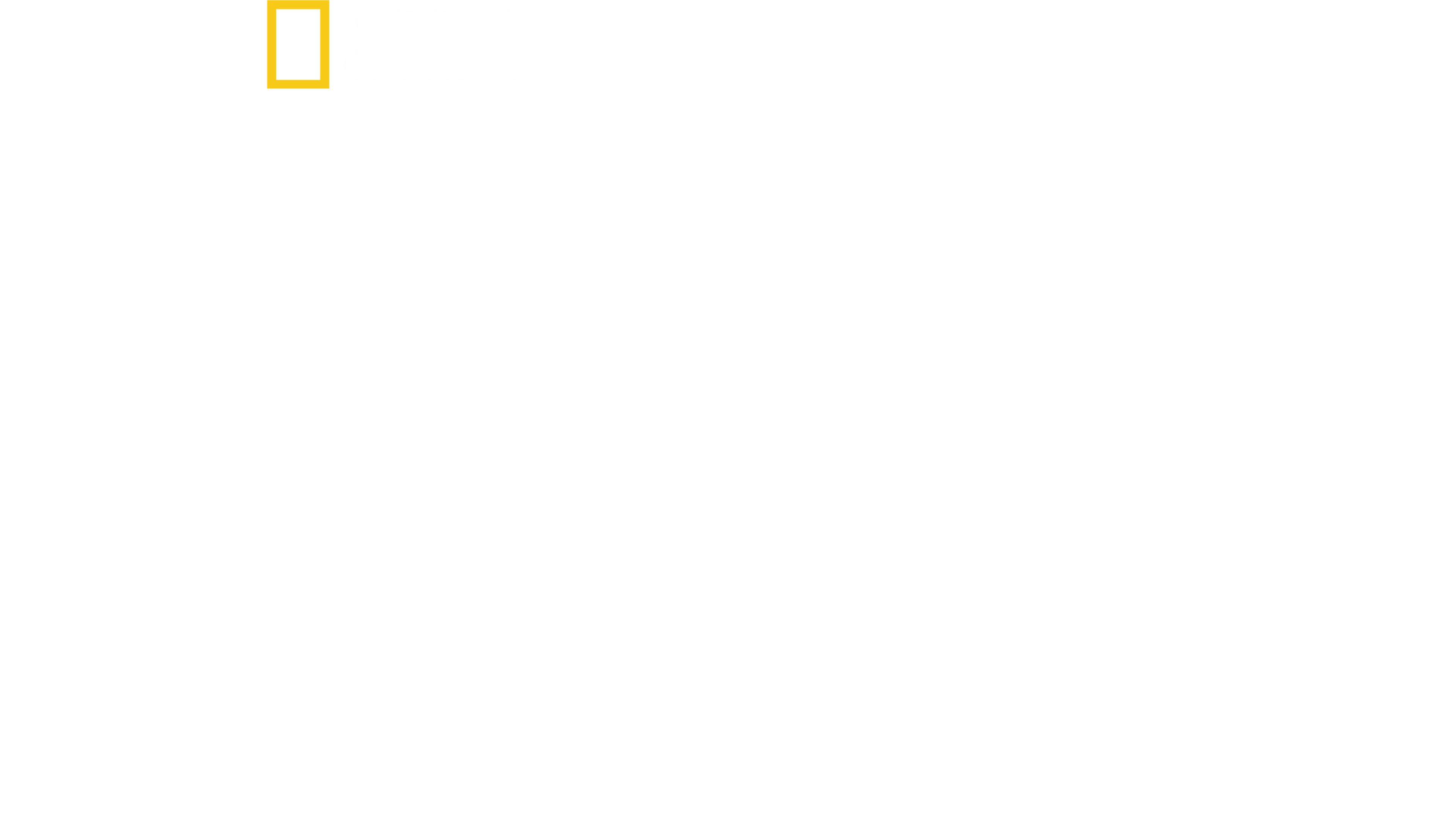 Wild Life: Una storia d’amore
