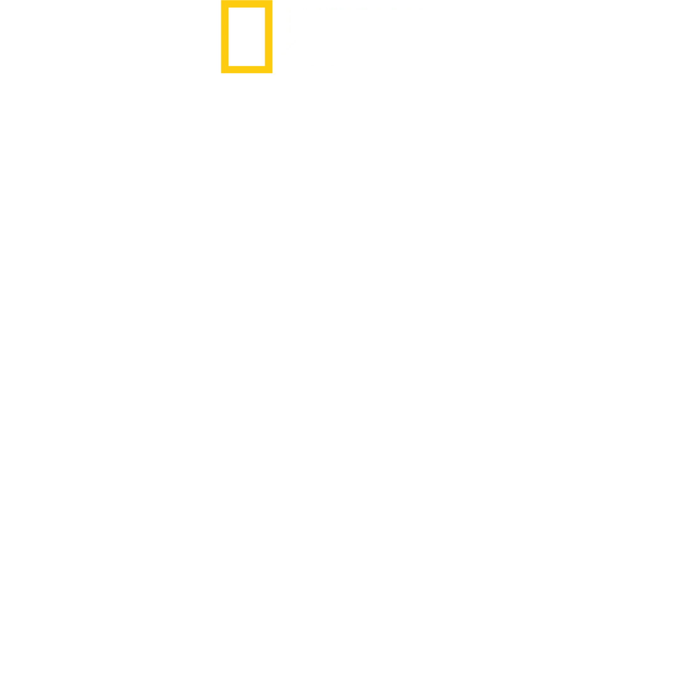 Wild Life: Una storia d’amore