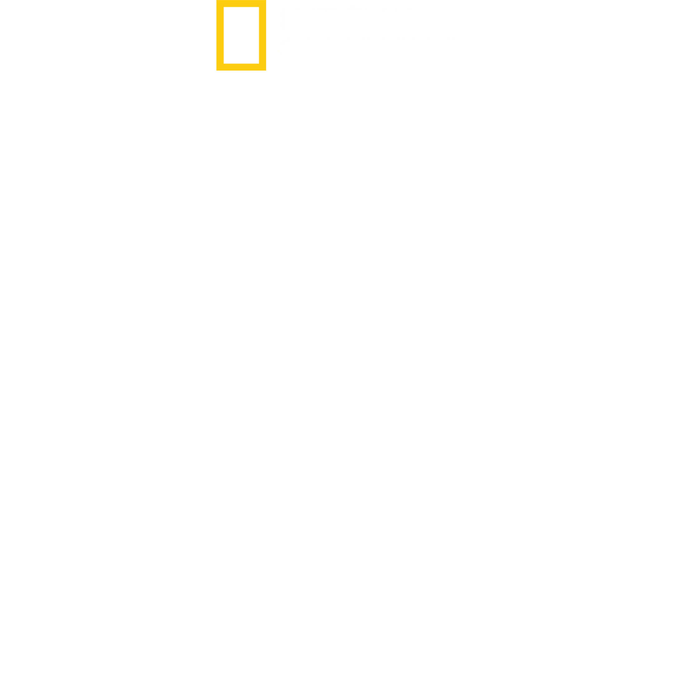 WILD LIFE 大自然への讃歌