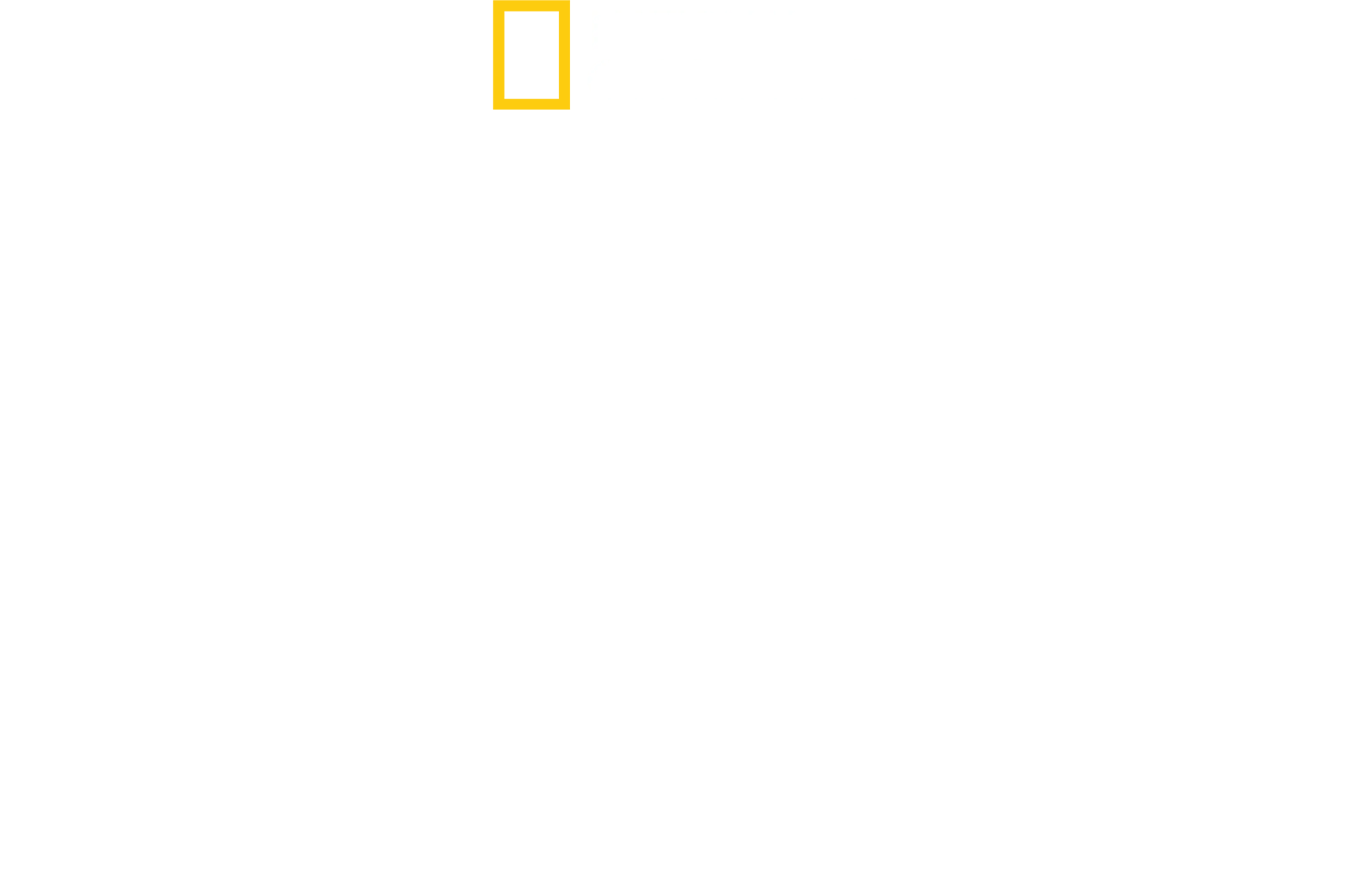 Dziki świat