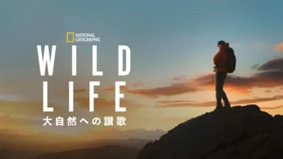 WILD LIFE 大自然への讃歌