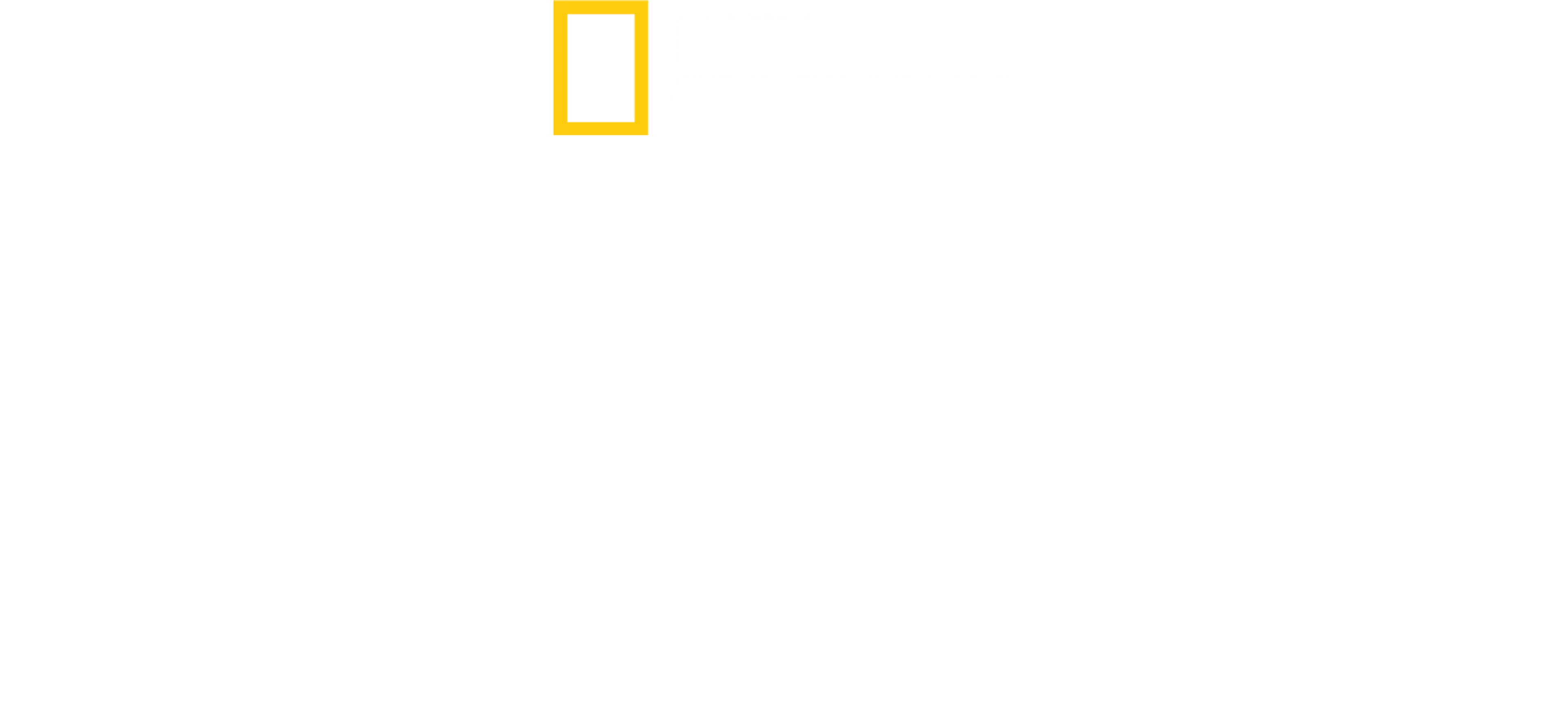 Vida Selvagem