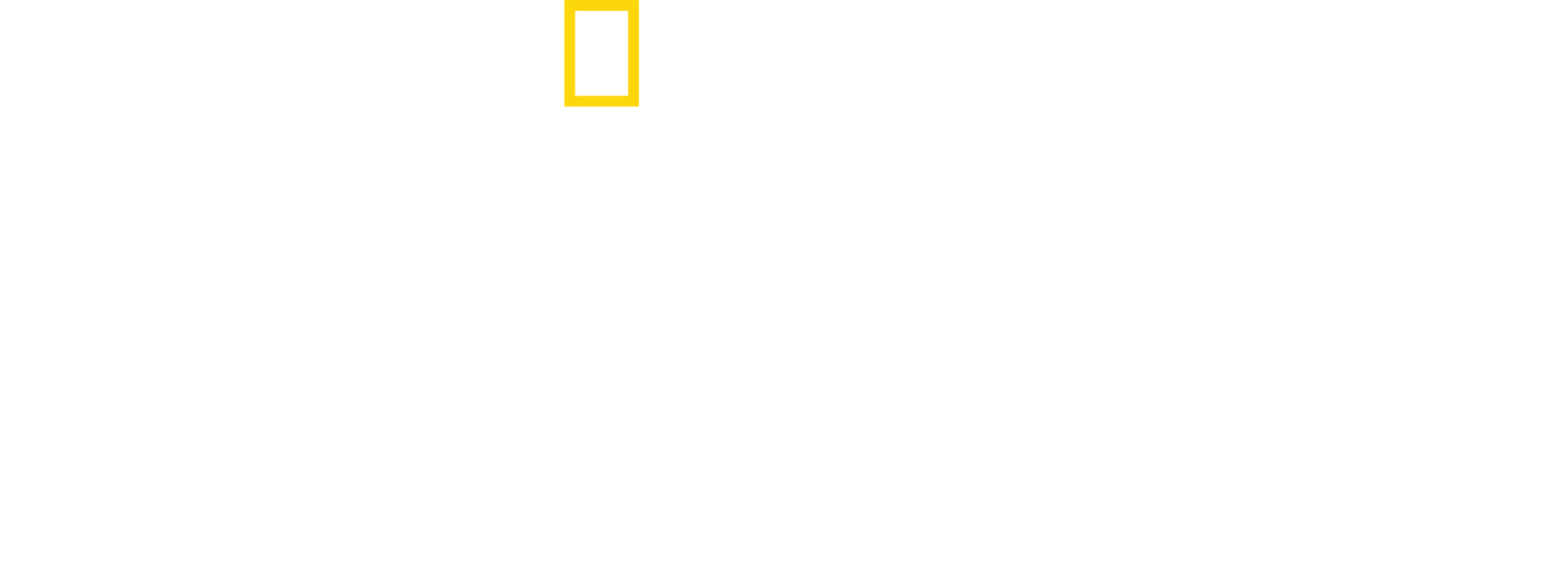 NASA盗難事件：狙われた月の石