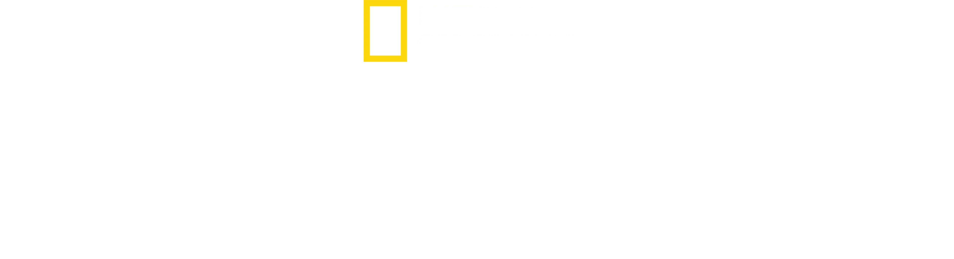 Ay Taşı Hırsızı