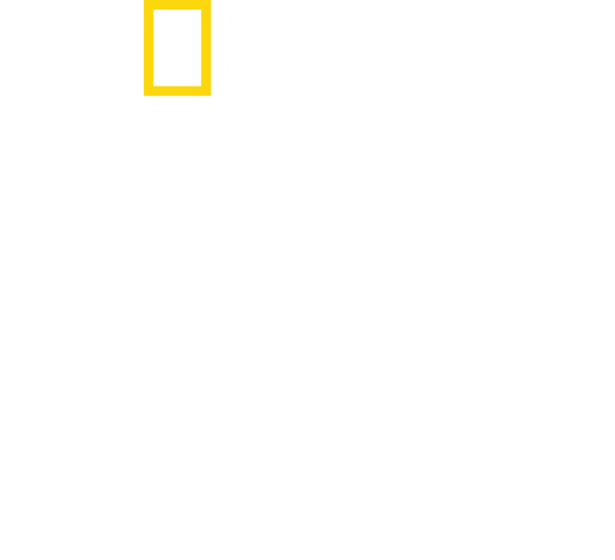 Paradise: Kaupungin nousu tuhkasta