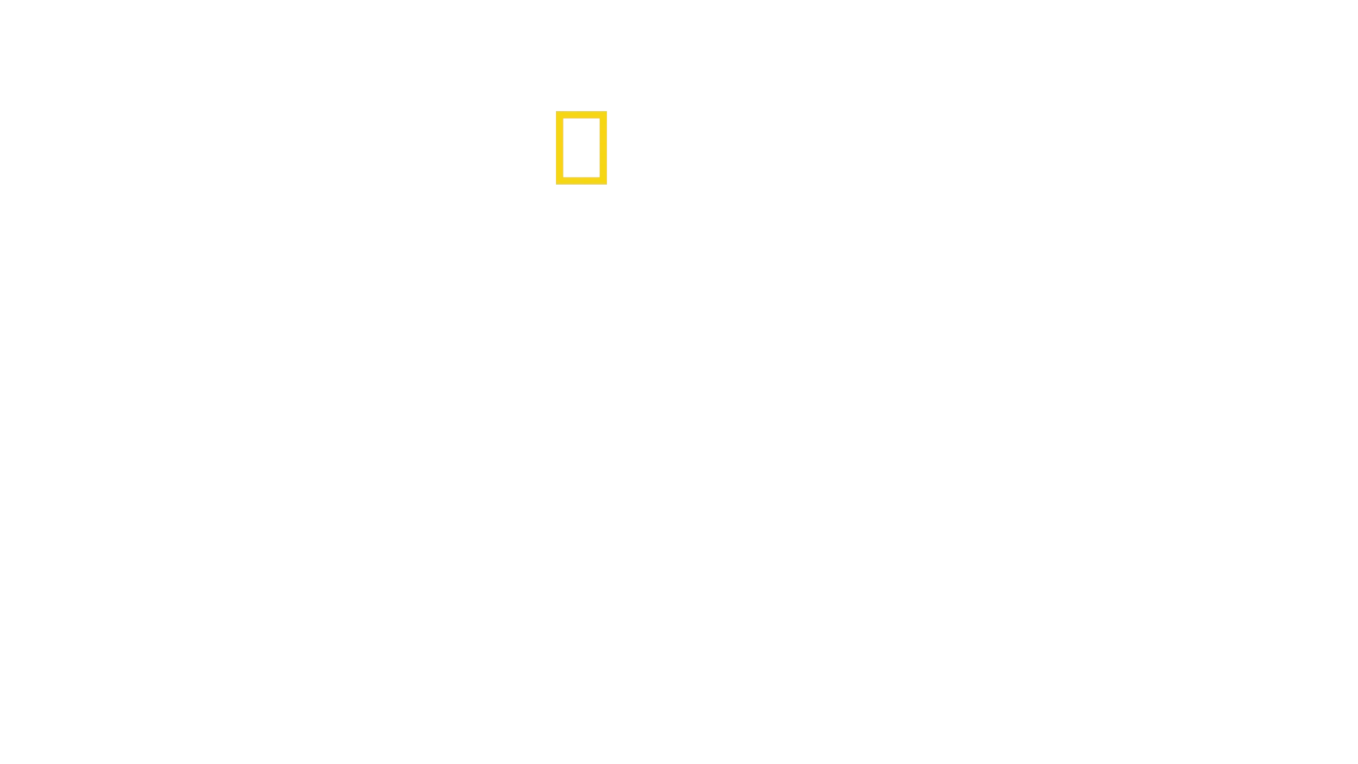 A tavola con gli squali