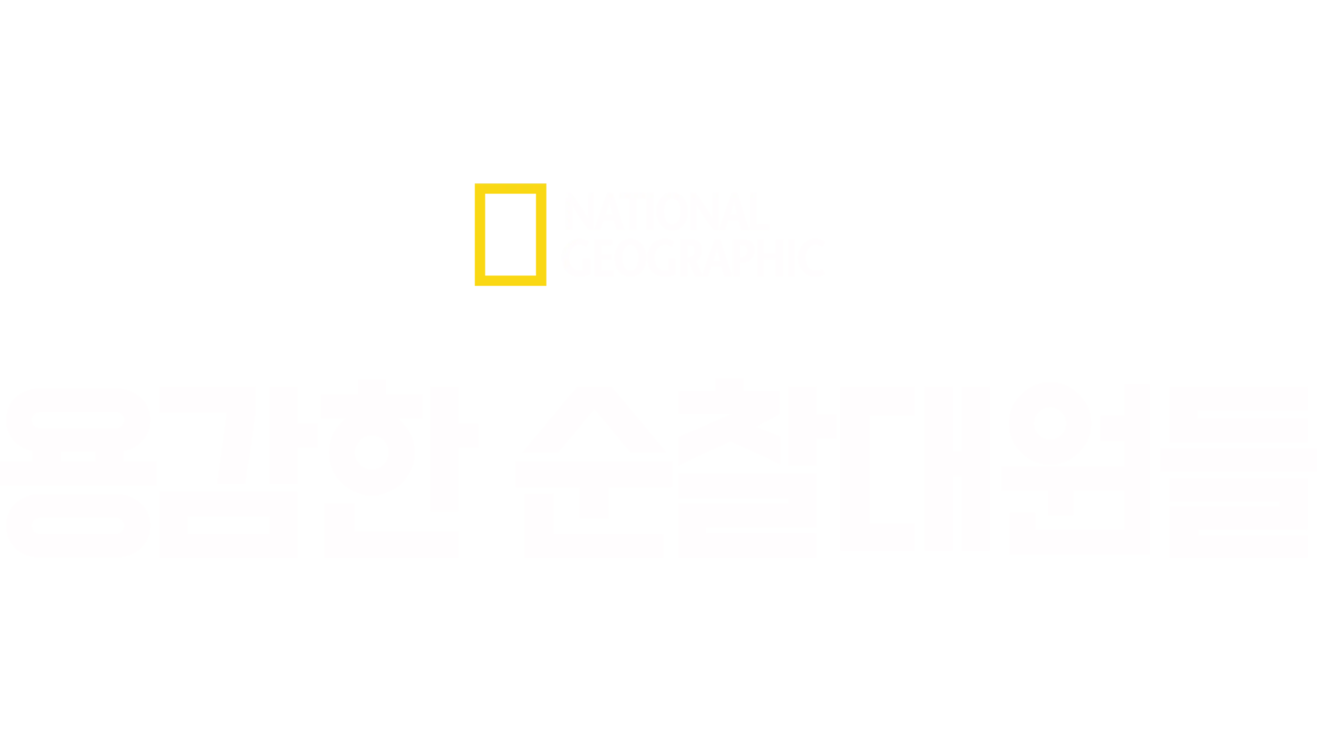 용감한 순찰대원들