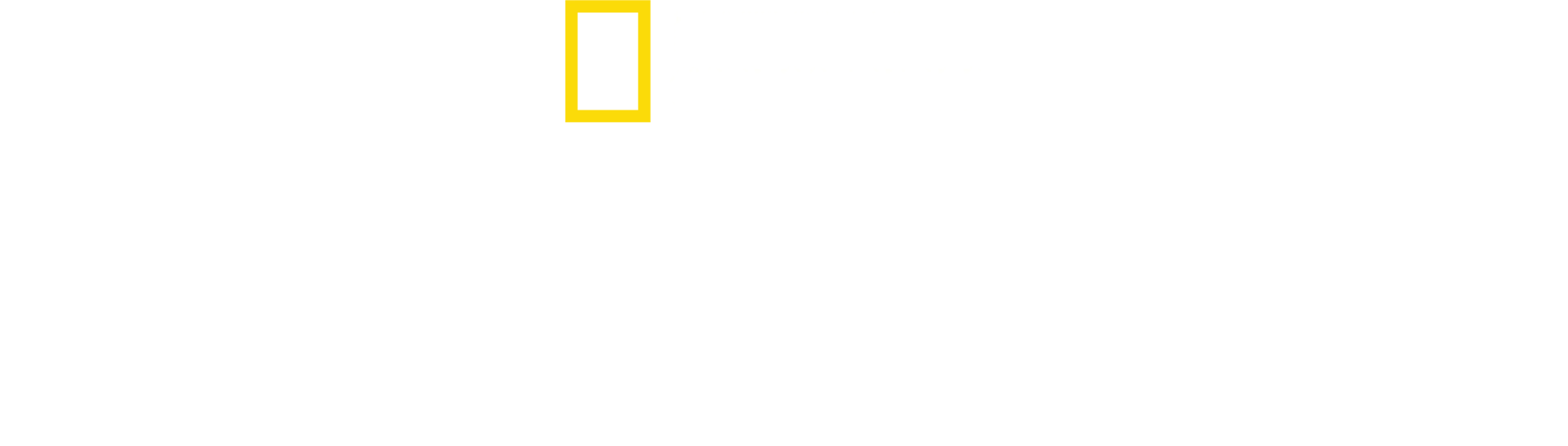 용감한 순찰대원들