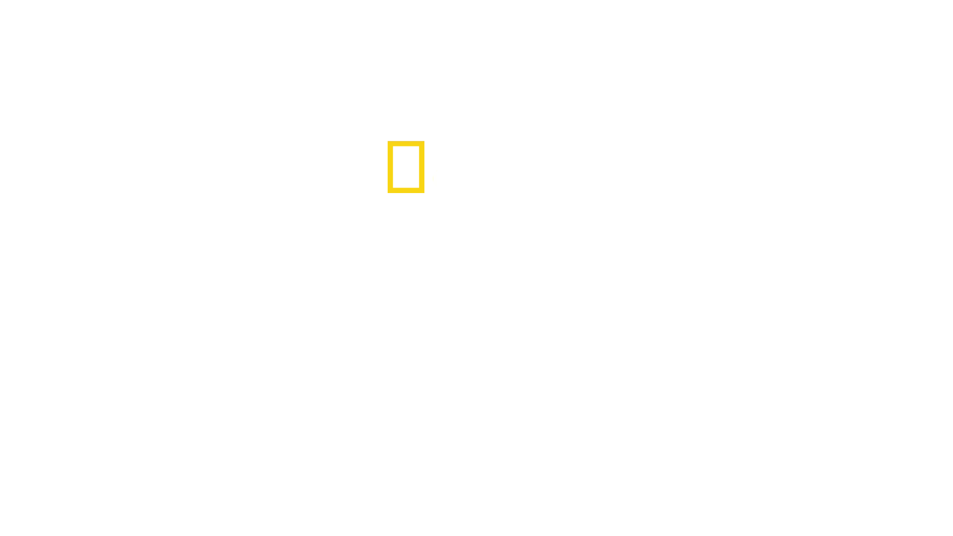 Akashinga : La guerre de l'ivoire