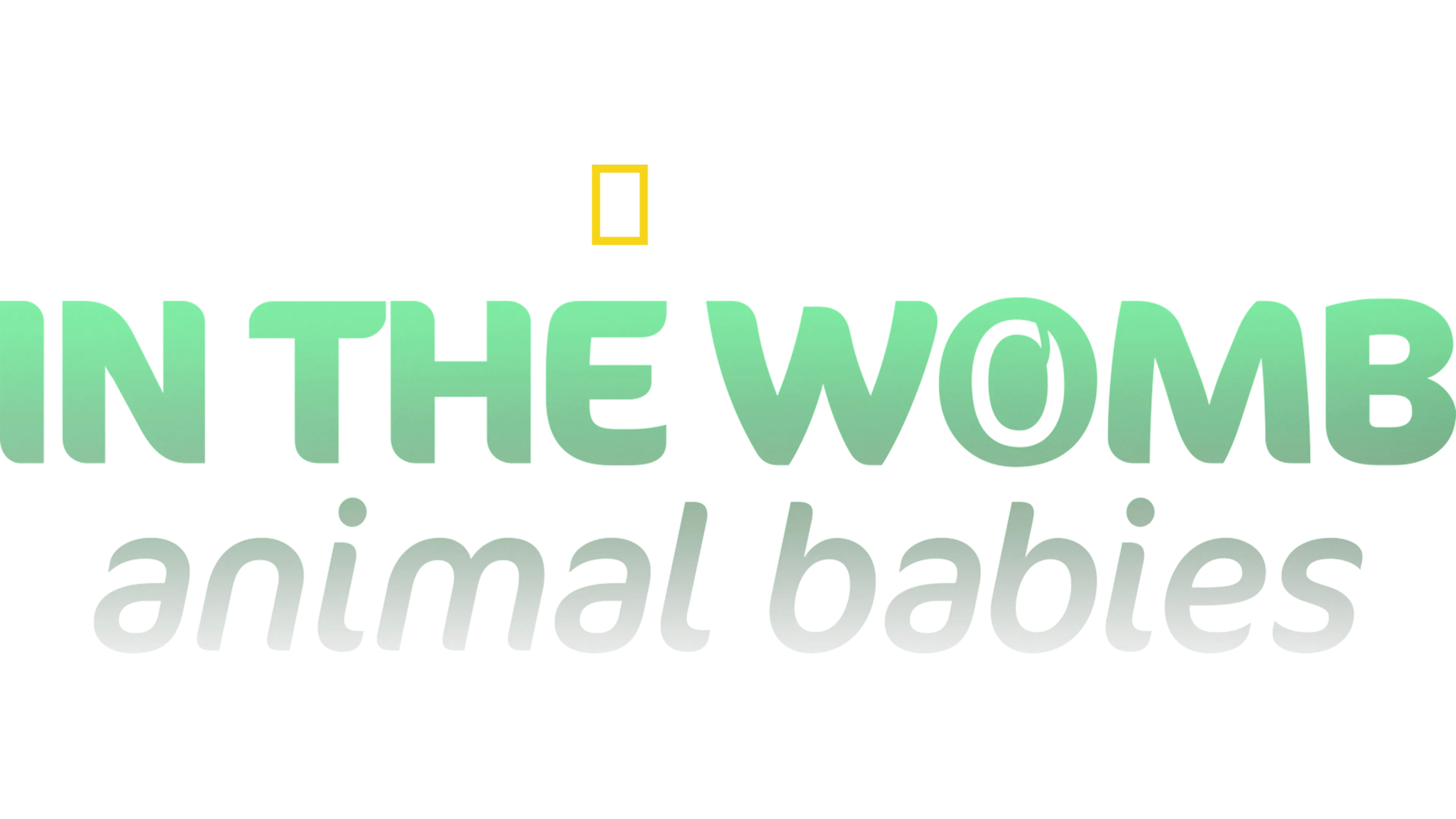 In The Womb: Animal Babies