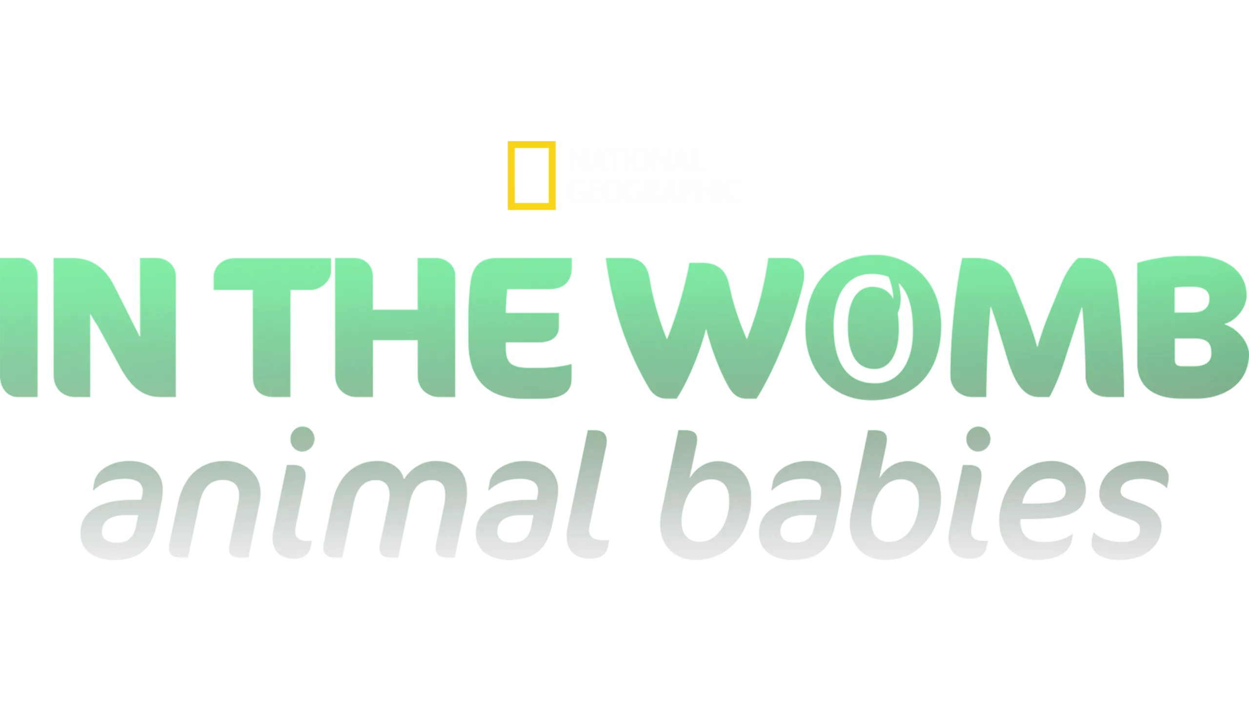 In The Womb: Animal Babies