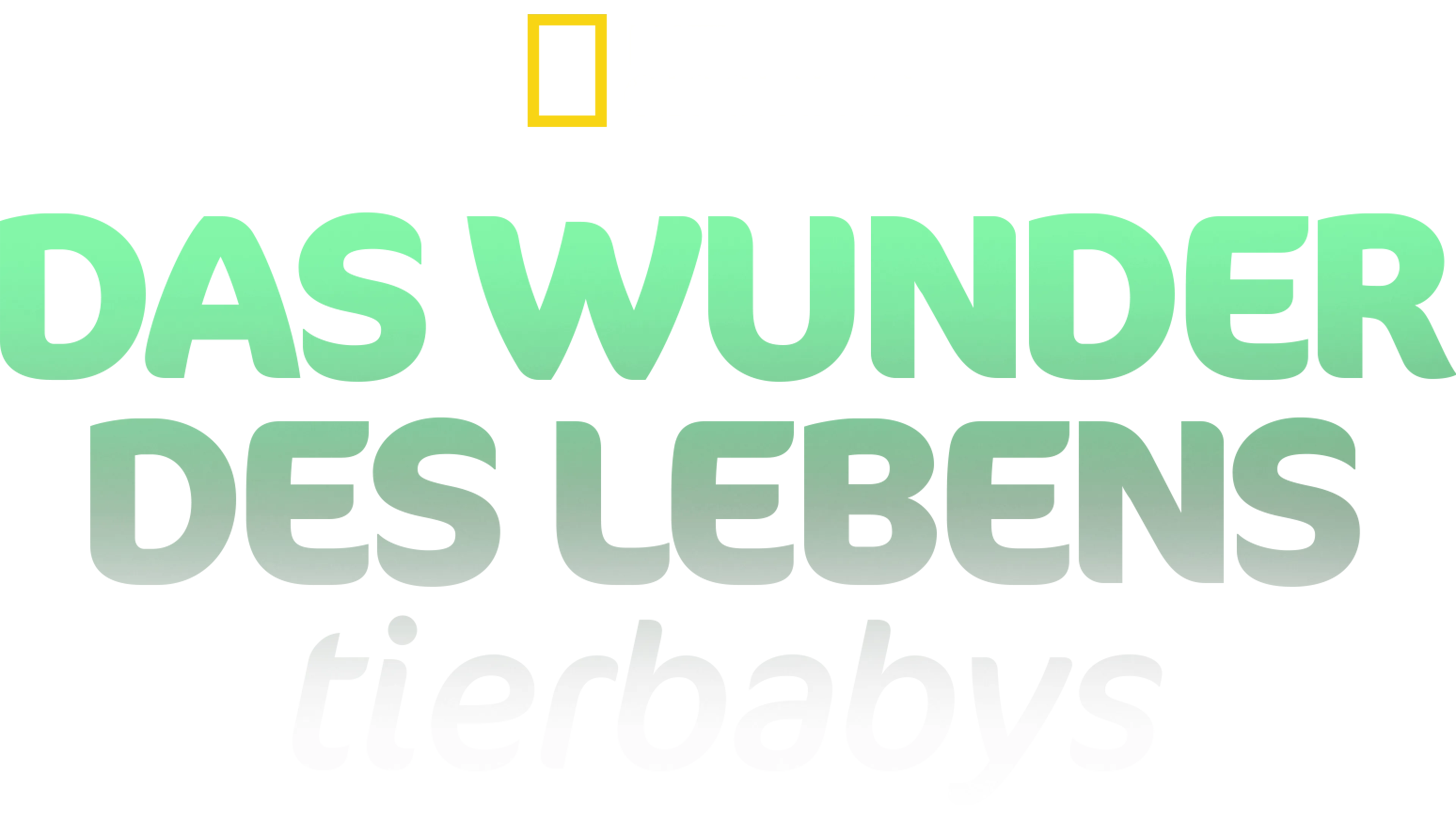 Das Wunder des Lebens: Tierbabys