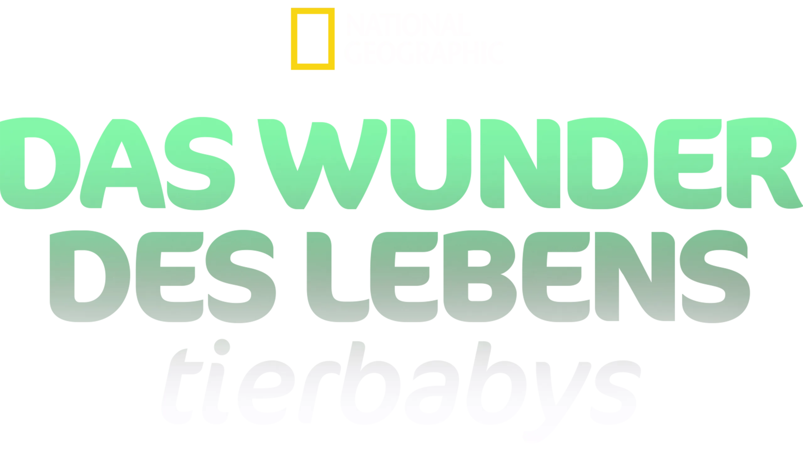 Das Wunder des Lebens: Tierbabys