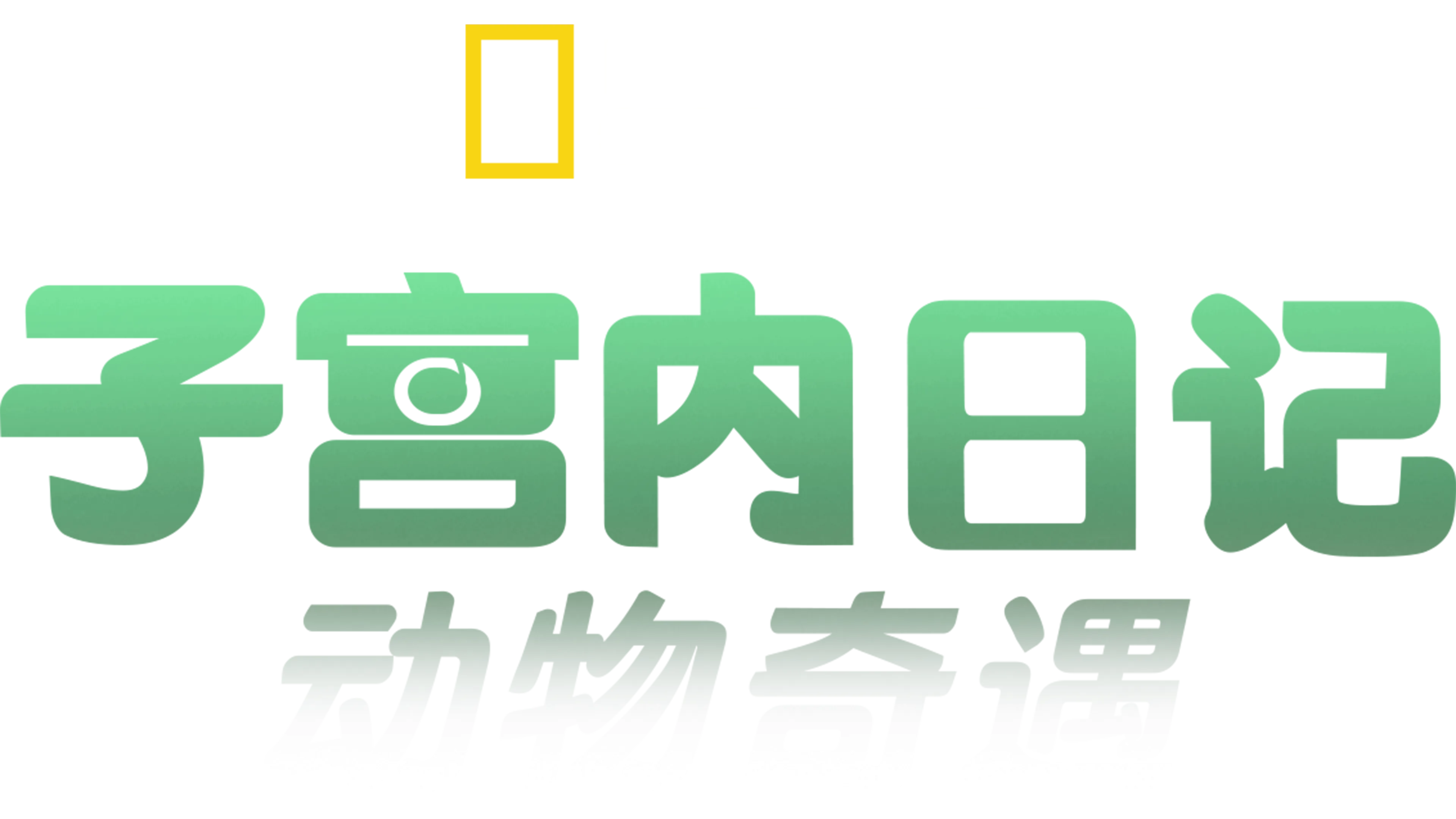 子宫内日记：动物奇遇