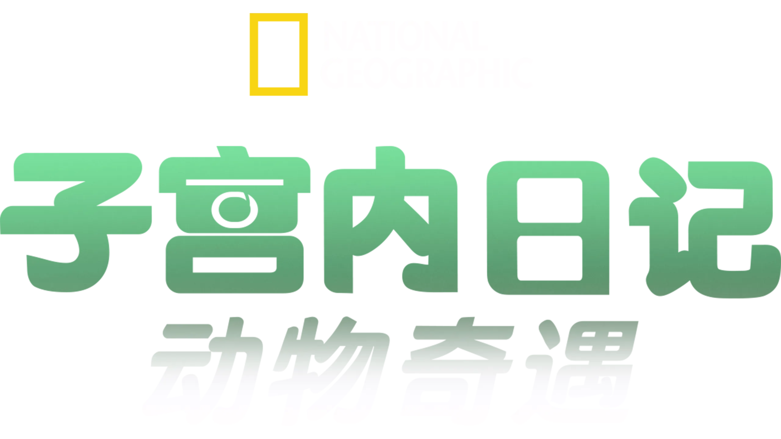 子宫内日记：动物奇遇