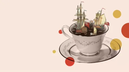 History: The Interesting Bits