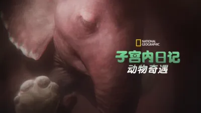 thumbnail - 子宫内日记：动物奇遇